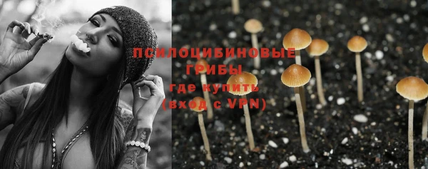 скорость Алексин